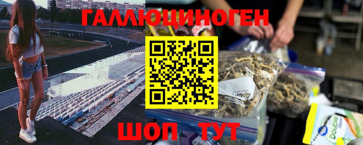 Псилоцибиновые грибы мицелий Ялта
