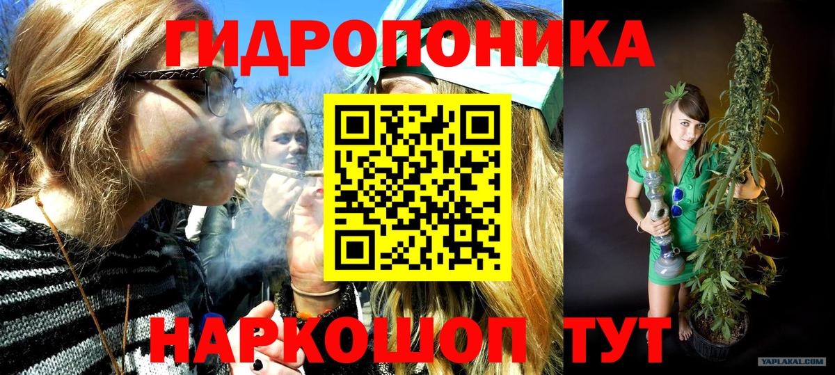 Конопля конопля Ялта